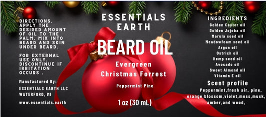 Evergreen Christmas Forest